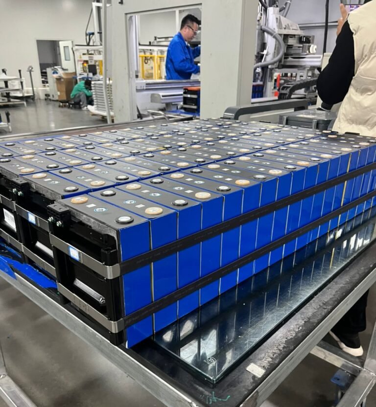 Powering the Next-Gen EV: How Our Battery Packs Define Performance & Range?