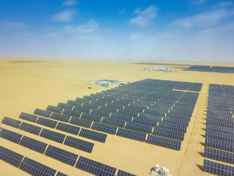 Beyond Power Generation: How Solar Panels Are Becoming Catalysts for Desert Restoration?