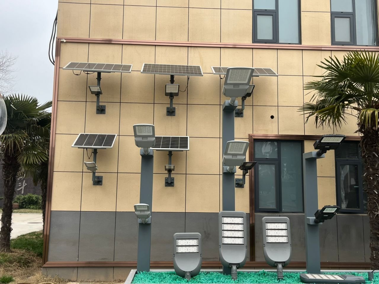 WhatsApp Image 2026-03-04 at 3.45.56 PM